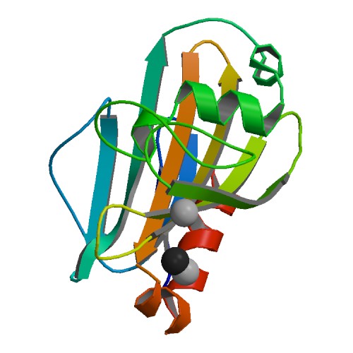 RCSB PDB.