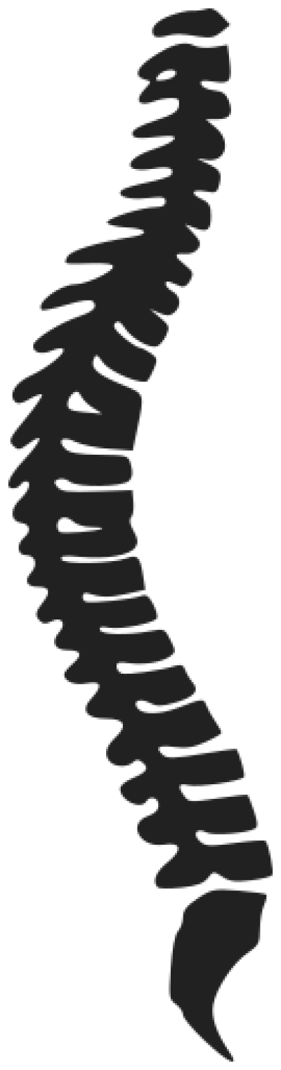 Spine PNG.