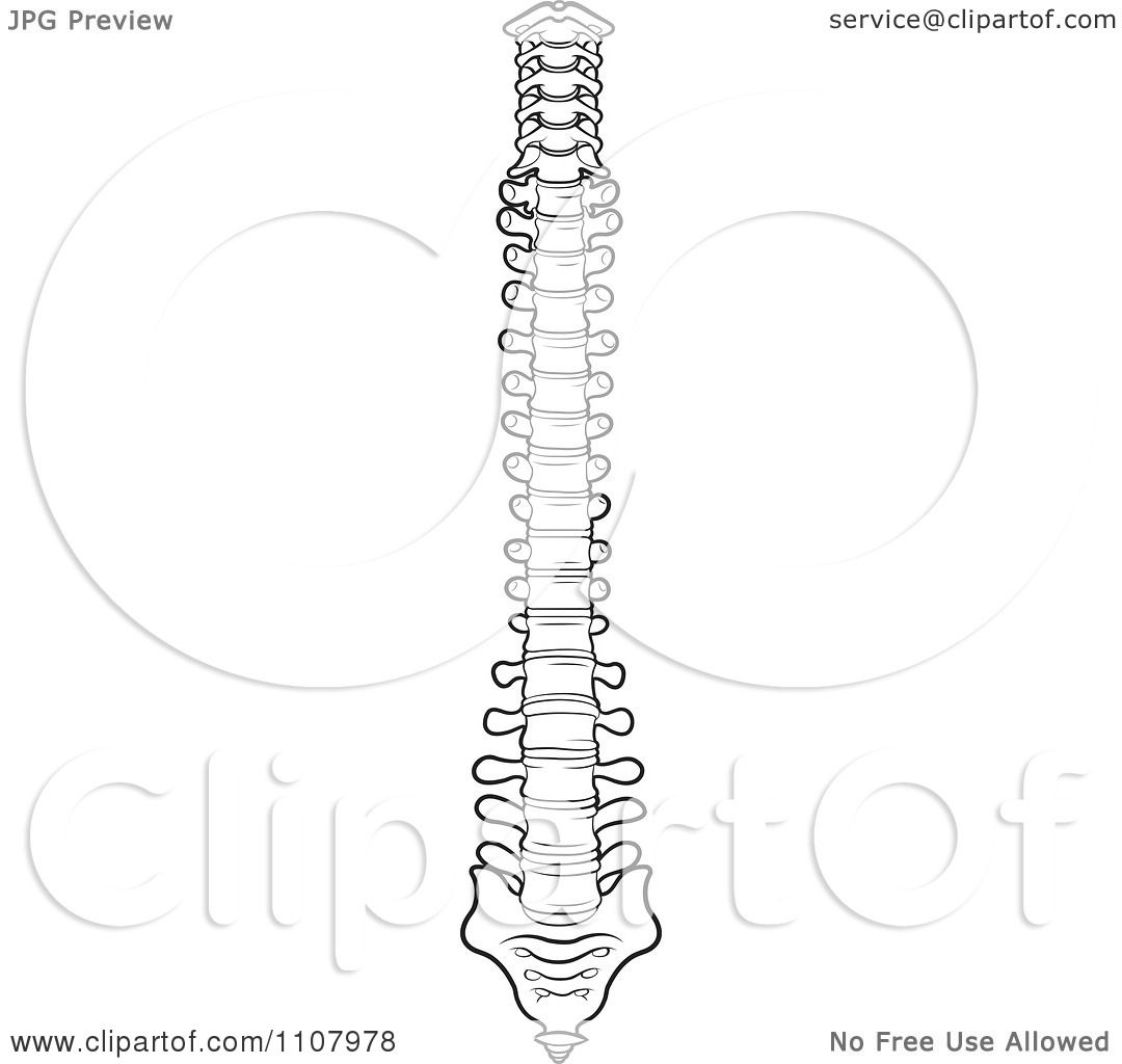 Clipart Black And White Human Spine 1.