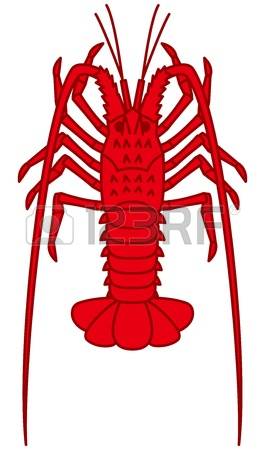 134 Spiny Lobster Stock Illustrations, Cliparts And Royalty Free.