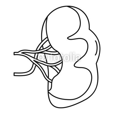 Collection of Spleen clipart.