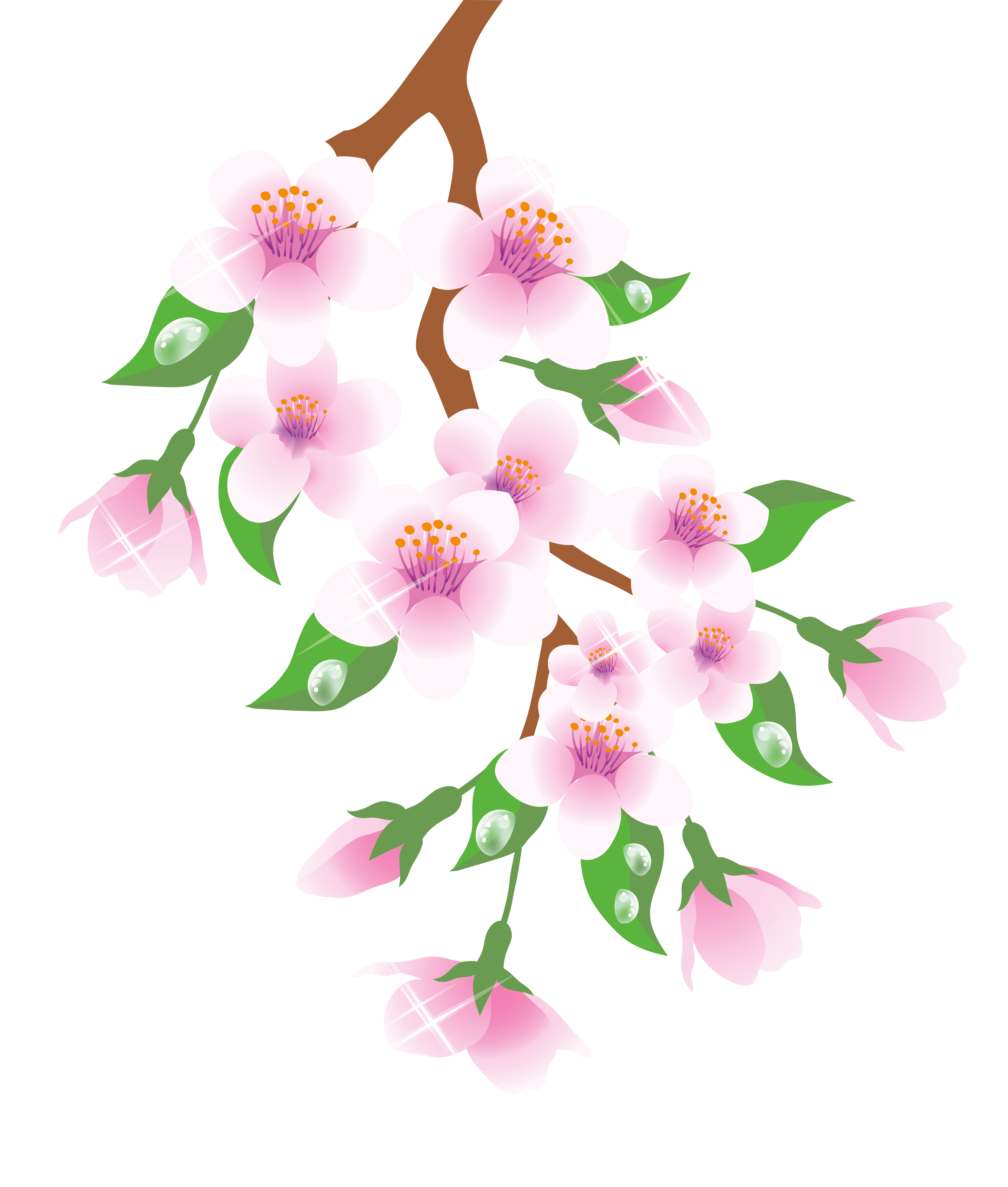 Spring branch clipart 20 free Cliparts | Download images on Clipground 2021