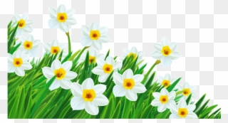 Daffodil Clipart Spring Break 2 Clip Art Free.