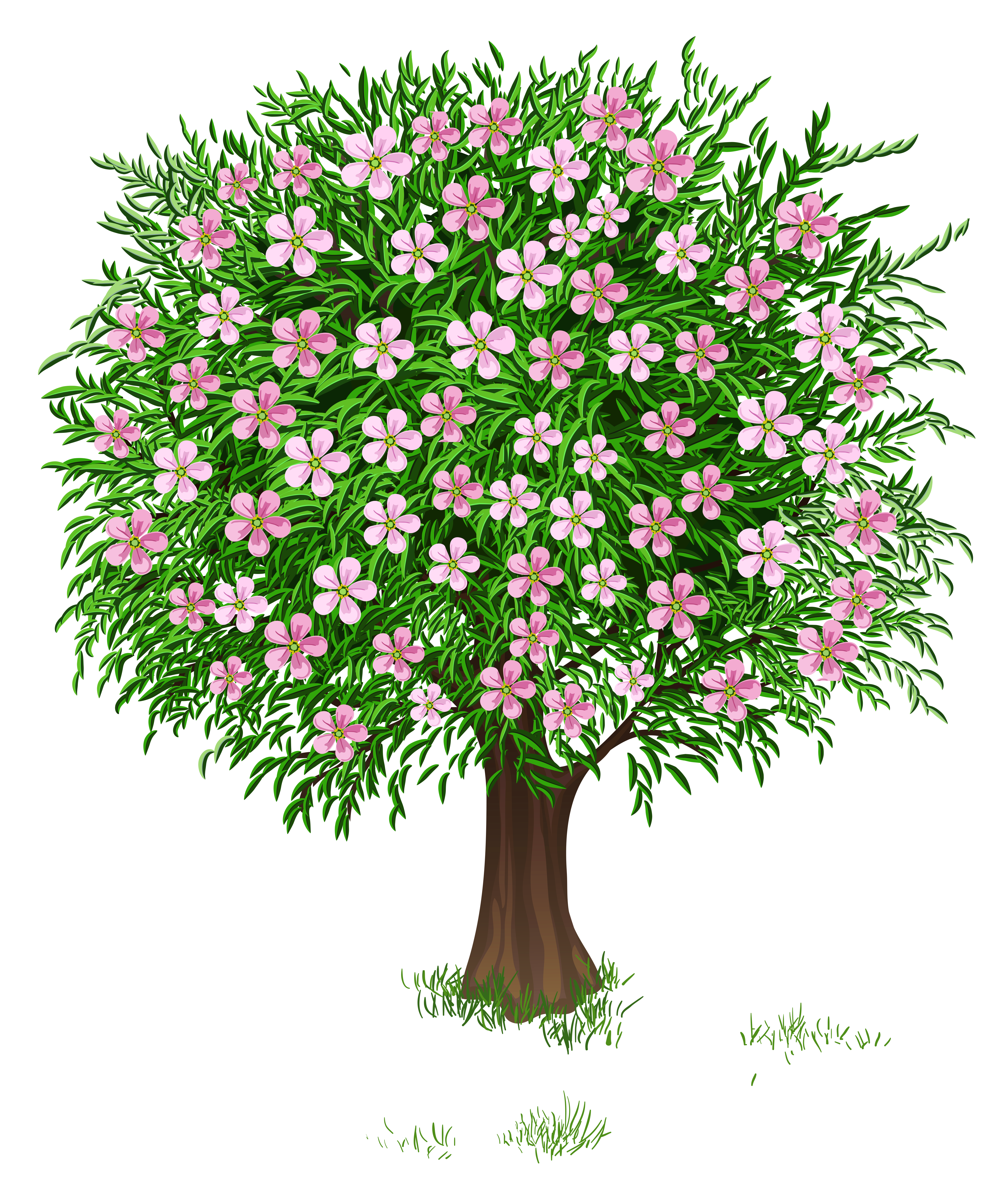 Free Transparent Spring Cliparts, Download Free Clip Art.