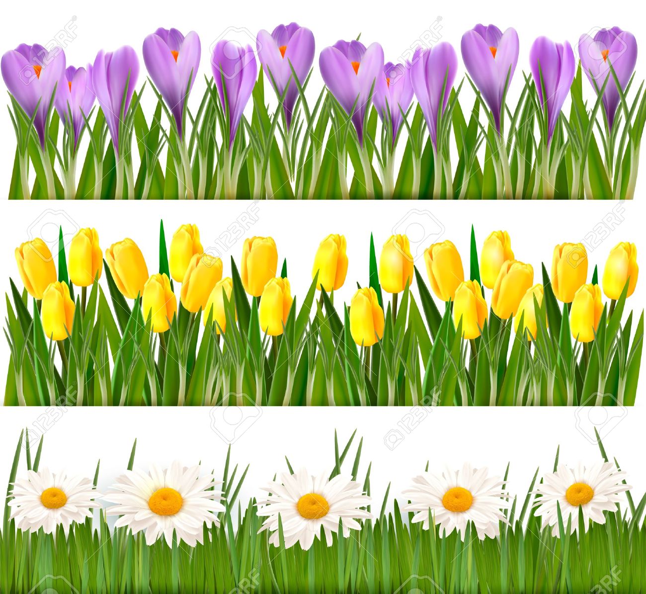 Spring crocus clipart 20 free Cliparts | Download images on Clipground 2024