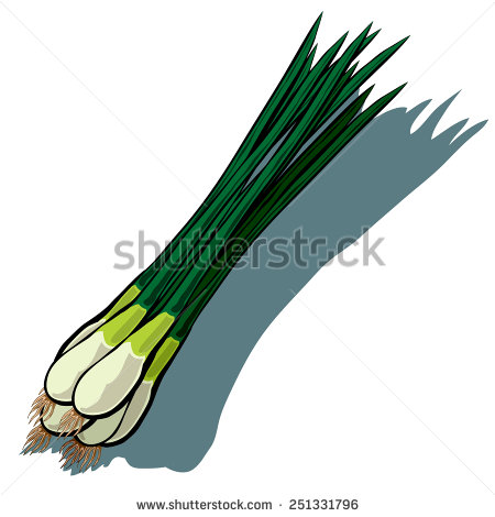 Spring Onion Stock Vectors, Images & Vector Art.