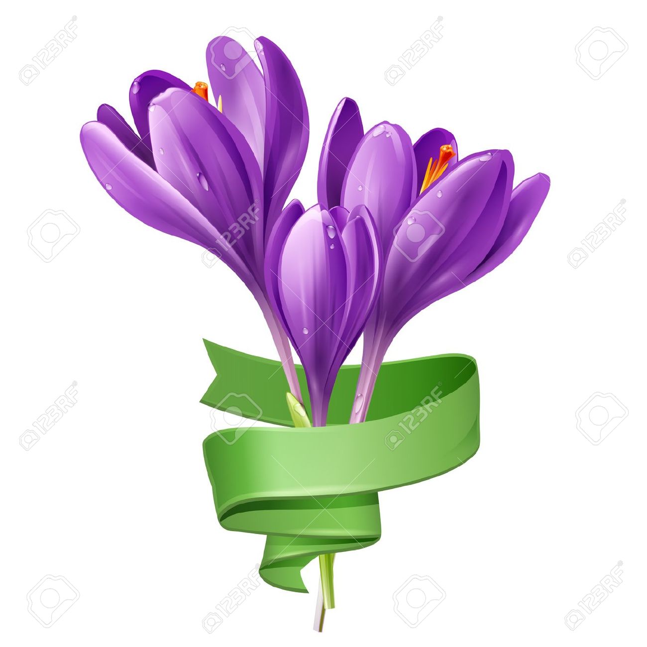 saffron flower clipart 20 free Cliparts | Download images ...