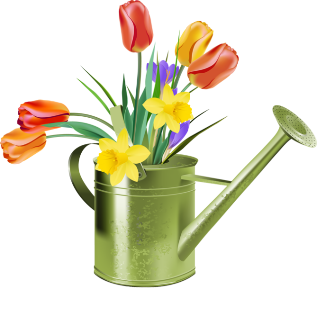 Tulips clipart - Clipground