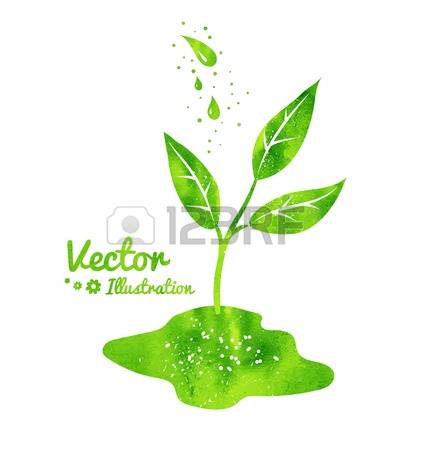 13,404 A Sprout Stock Vector Illustration And Royalty Free A.