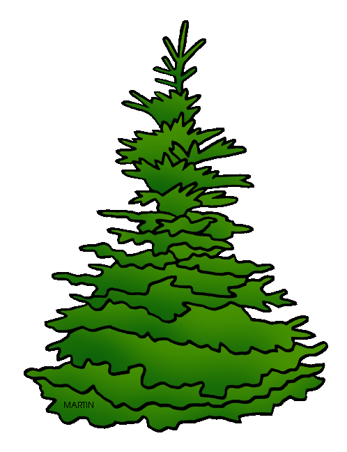 Blue Spruce Clipart.