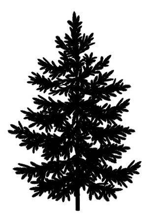 Spruce tree clipart » Clipart Portal.