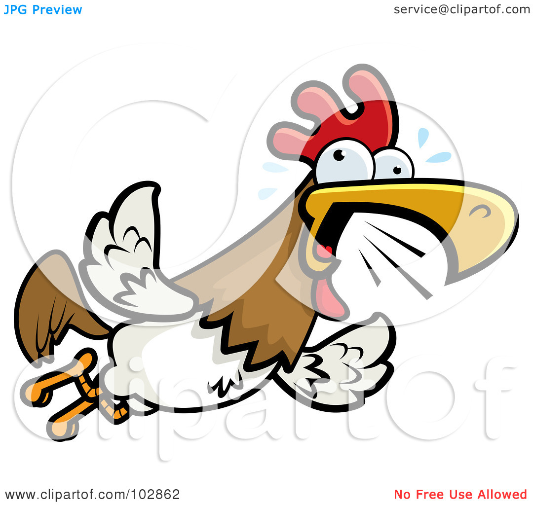 Squawking clipart 20 free Cliparts | Download images on Clipground 2024