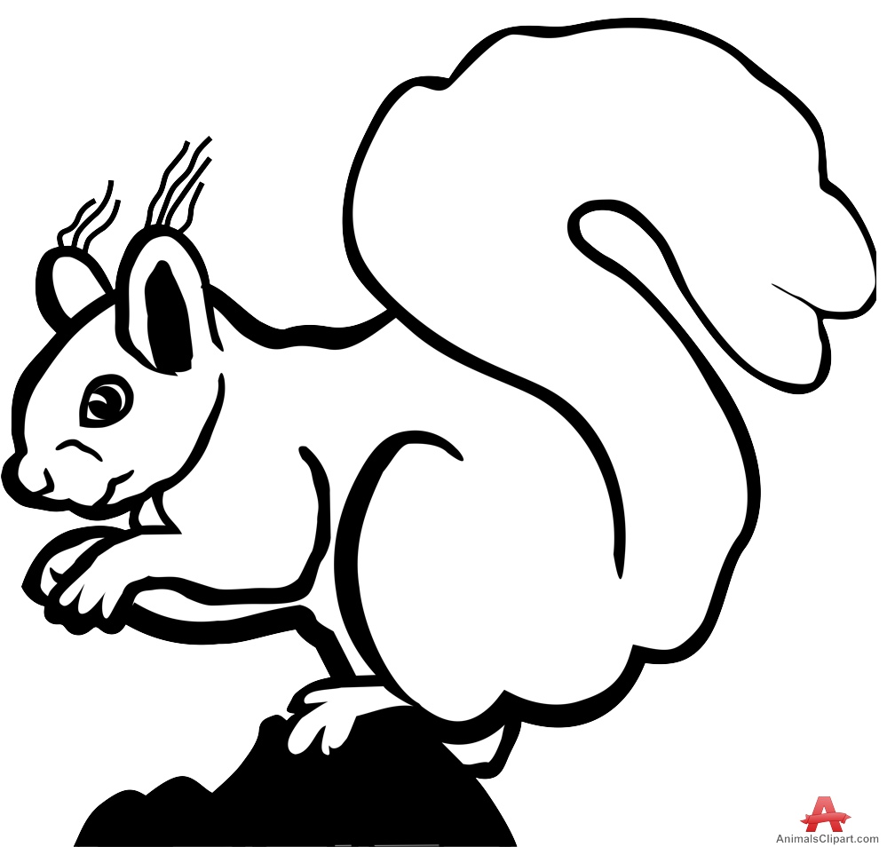 Squirrel black and white squirrel outline drawing in black.