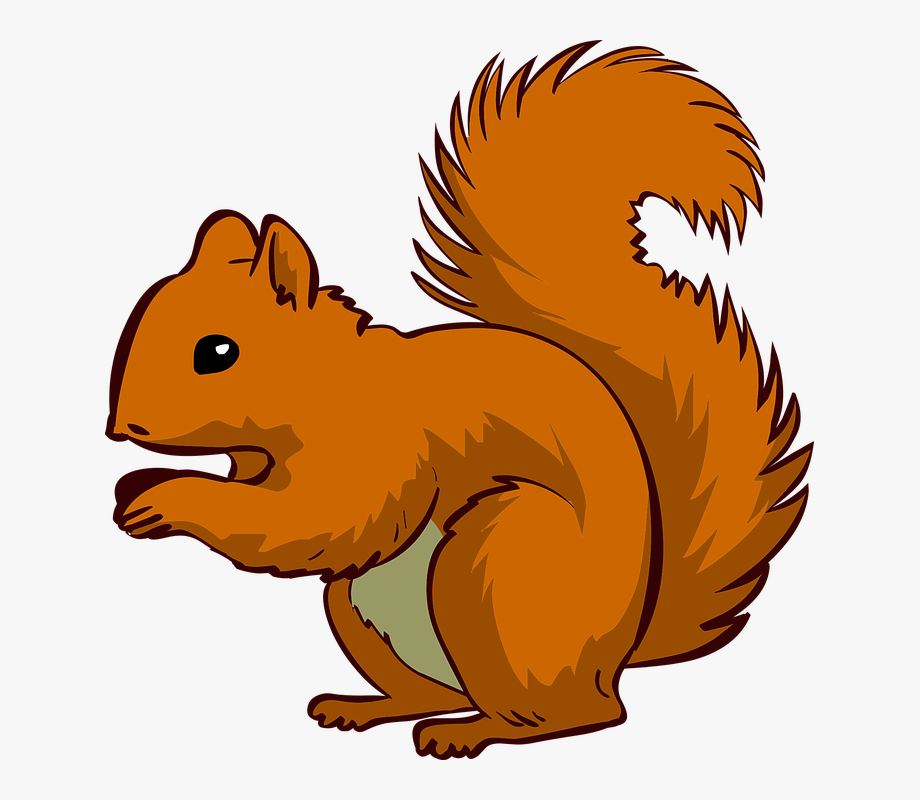 Download cartoon squirrel clipart 10 free Cliparts | Download ...