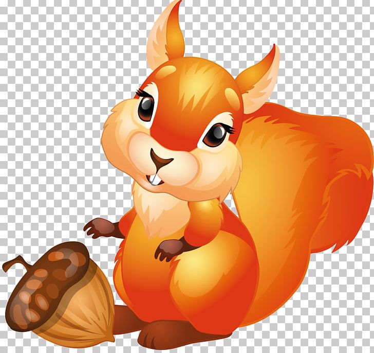 Red Squirrel Tree Squirrels PNG, Clipart, Carnivoran.