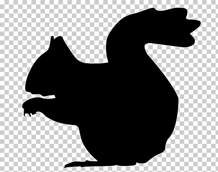 Squirrel Silhouette , squirrel PNG clipart.