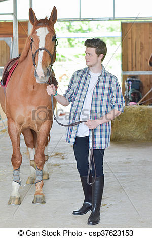 Stock Images of stable boy csp37623153.