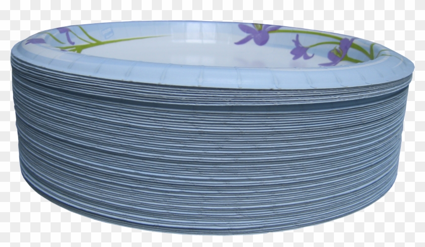 Disposable Dinner Plates Market Specification.