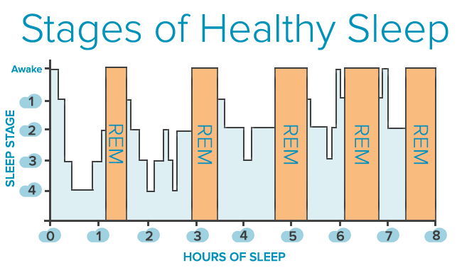 Stages Of Sleep 20 Free Cliparts Download Images On Clipground 2021