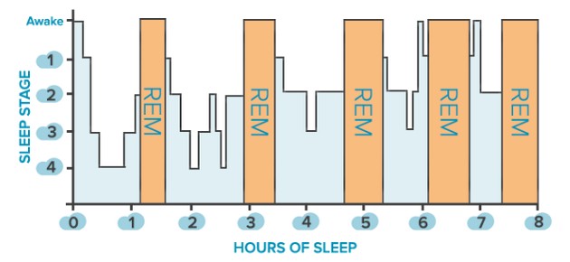 stages-of-sleep-20-free-cliparts-download-images-on-clipground-2024