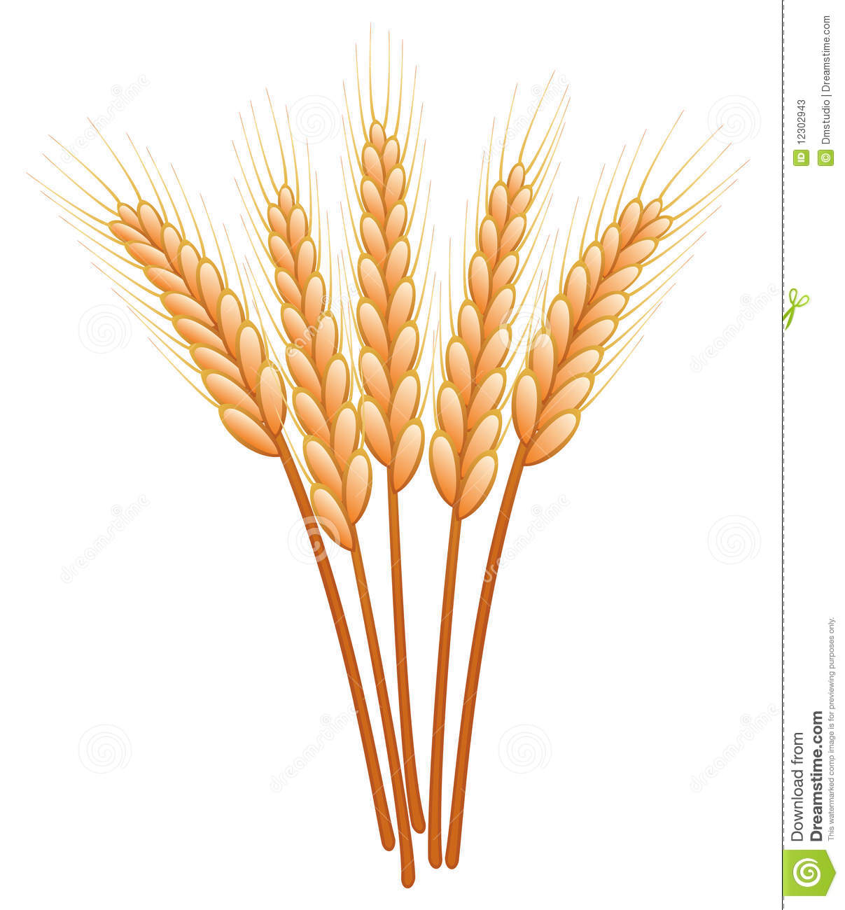 Clipart wheat stalk.