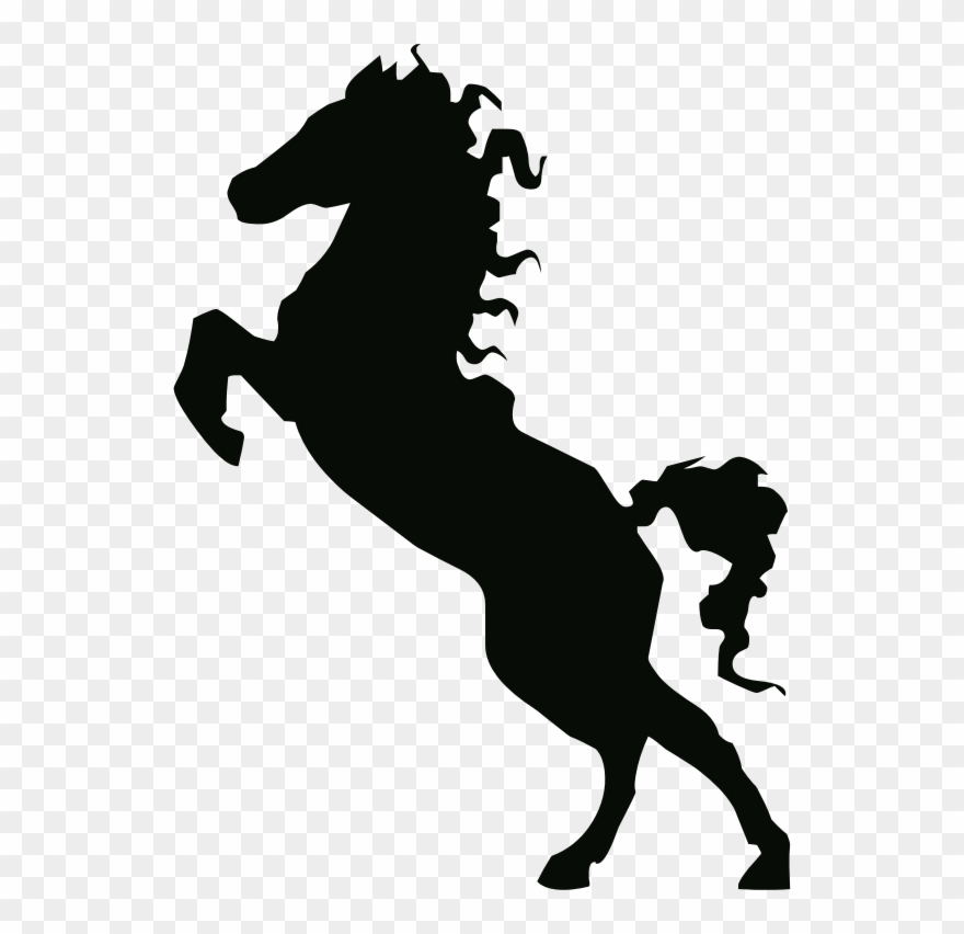 Stallion Clipart Transparent.