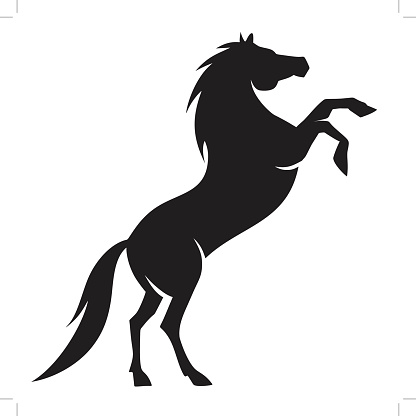 Stallion Horse Clipart.