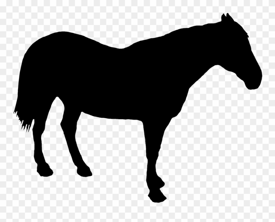 Horse Standing Silhouette Clipart (#1330870).