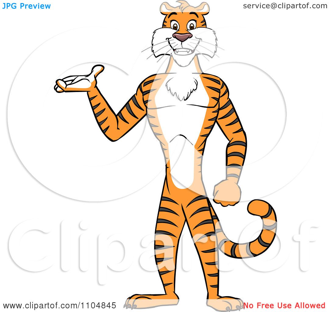 Clipart Happy Tiger Presenting And Standing Upright.