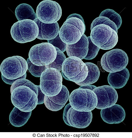 Staphylococcus Clip Art.