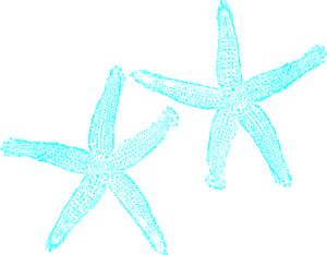 Blue Starfish Clipart.