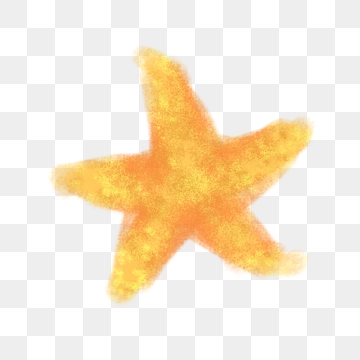 Starfish Clipart Images, 126 PNG Format Clip Art For Free.
