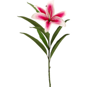 Stargazer lily clipart 20 free Cliparts | Download images on Clipground ...