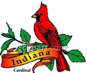 State Bird of Indiana, the Cardinal.