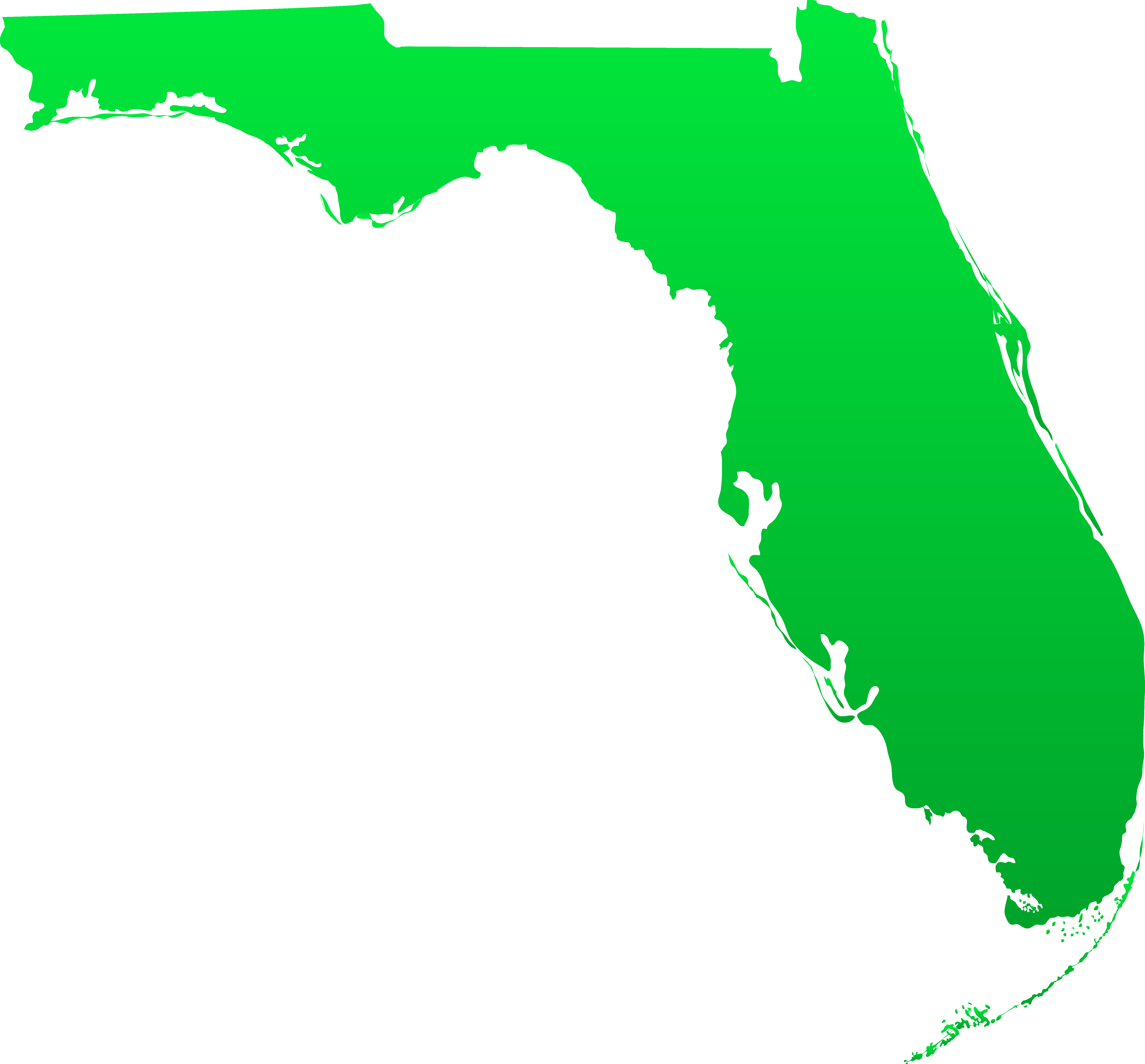 Florida State Design.