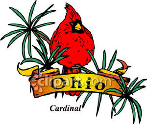 The Ohio State Bird The Cardinal.
