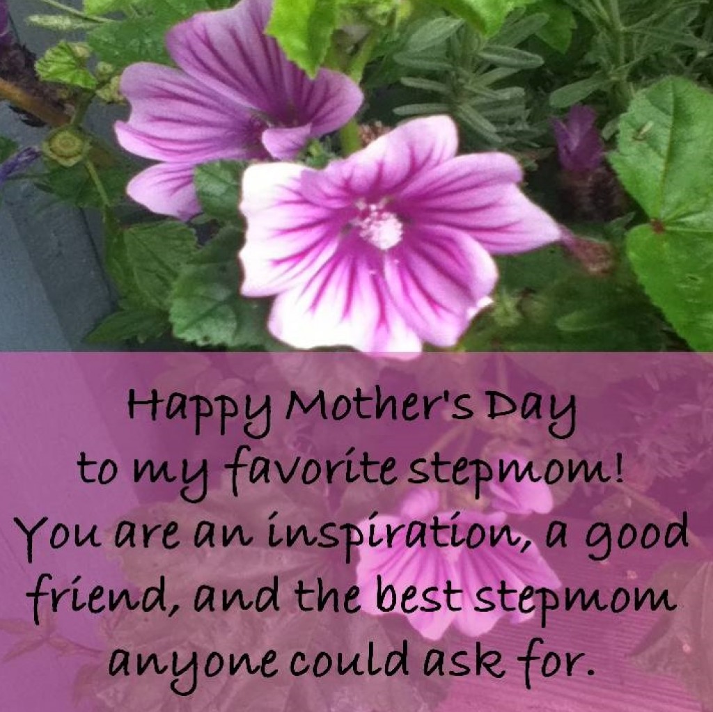 step mom mothers day clipart 20 free Cliparts Download images on