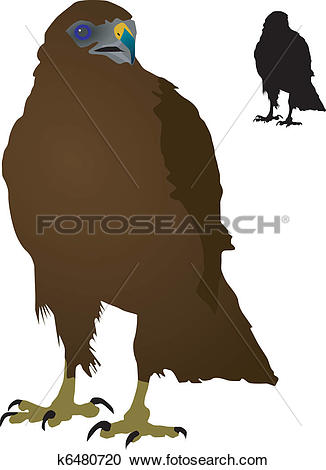 Clipart of Steppe Eagle k6480720.