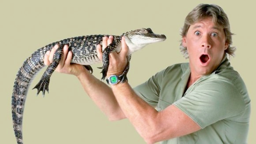 Steve Irwin Png, png collections at sccpre.cat.