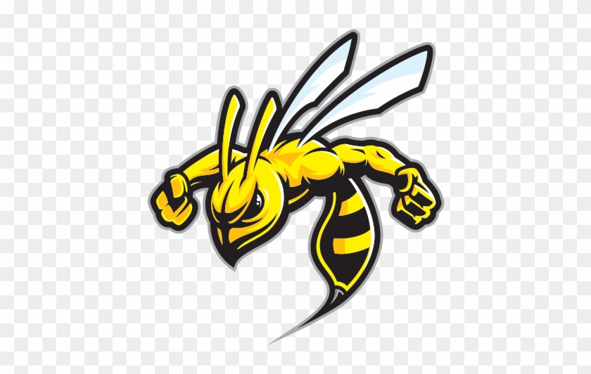 Hornet Clipart Wasp Sting.