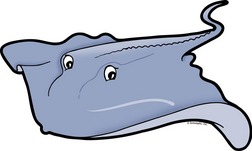 Stingray Clip Art & Stingray Clip Art Clip Art Images.