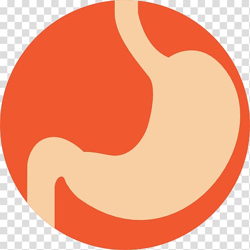 Computer Icons Stomach Gastric bypass surgery Digestion.