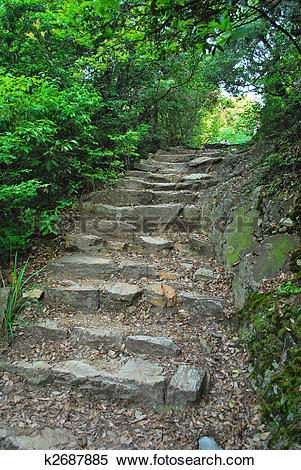 Stock Image of Long stretch of stone steps leading into the light.