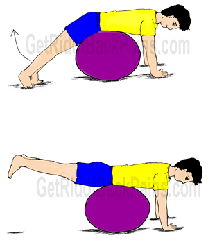 Exercises To Strengthen Lower Back Pain.