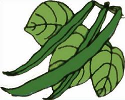Free String Bean Cliparts, Download Free Clip Art, Free Clip.