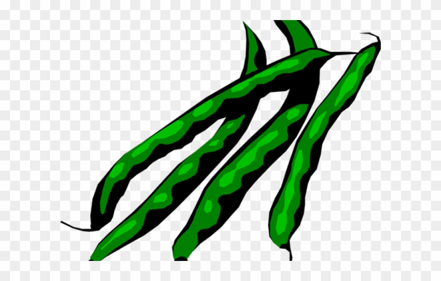 Green Beans Clip Art.