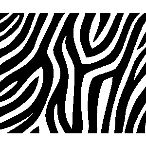 Striped fur clipart 20 free Cliparts | Download images on Clipground 2023