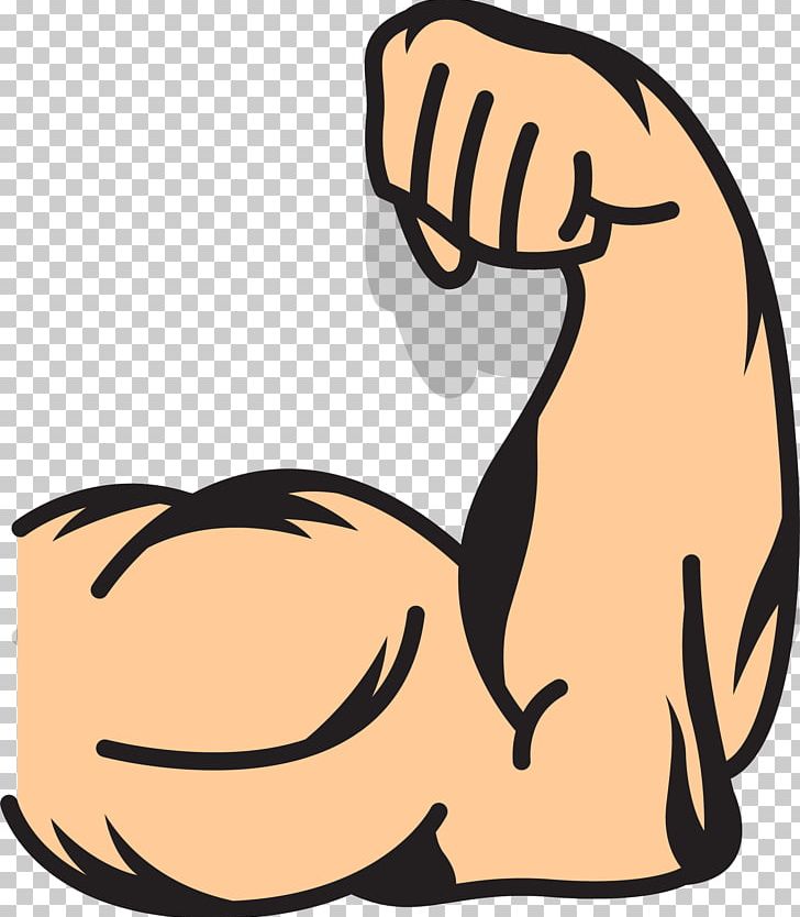 Muscle Arms Muscle Arms PNG, Clipart, Arm, Arm Architecture.