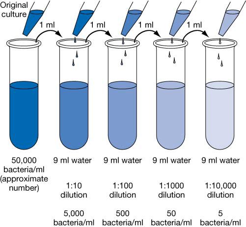 serial dilution calculator