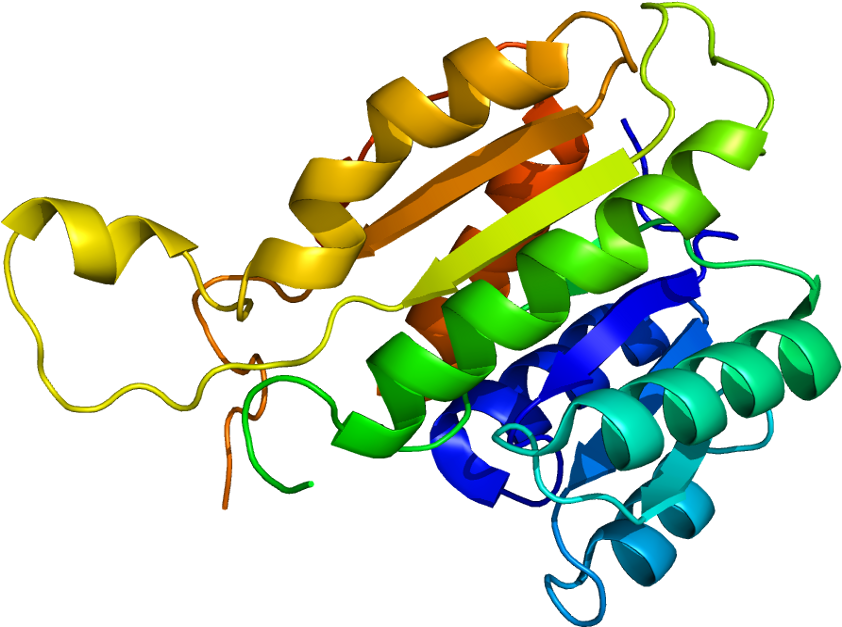 Protein Structure Icon Clipart.